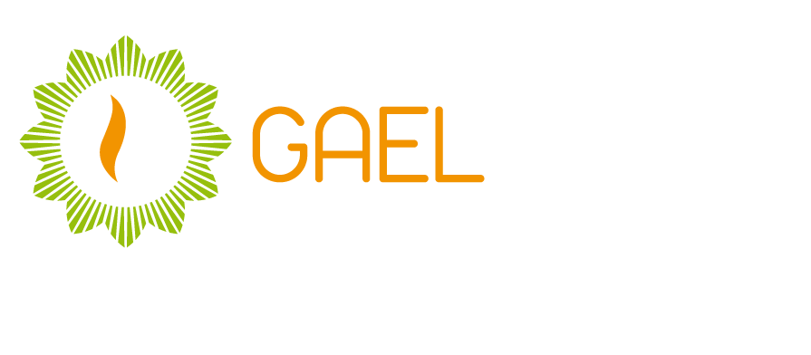 L'entreprise BELEGOU GAEL est à votre disposition pour tous vos besoins de dépannage chauffage à Louin